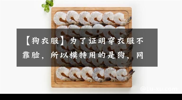 【狗衣服】为了证明穿衣服不靠脸，所以模特用的是狗，网友：就算跨物种，也要靠脸