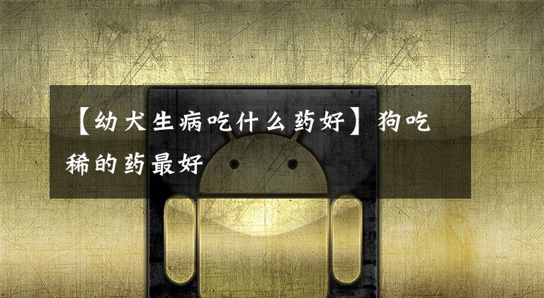 【幼犬生病吃什么药好】狗吃稀的药最好