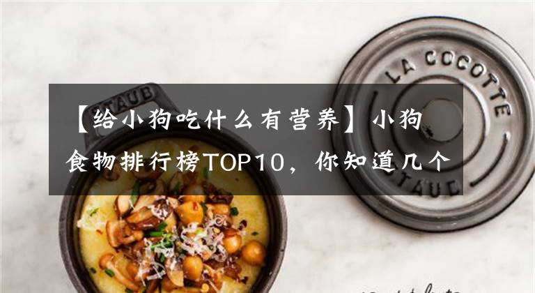 【给小狗吃什么有营养】小狗食物排行榜TOP10，你知道几个吗？