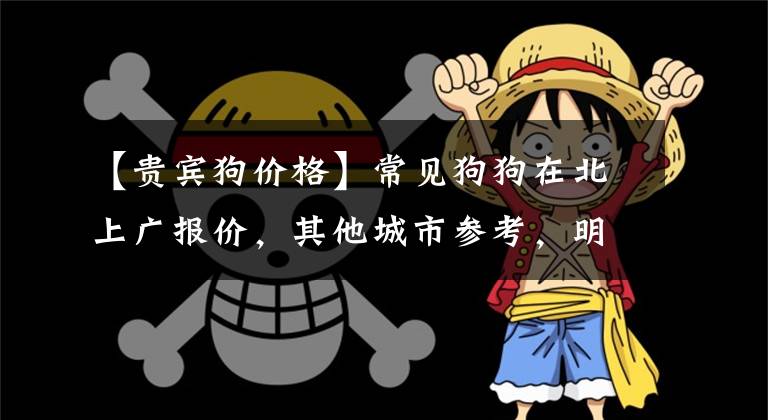 【贵宾狗价格】常见狗狗在北上广报价，其他城市参考，明天介绍少见的