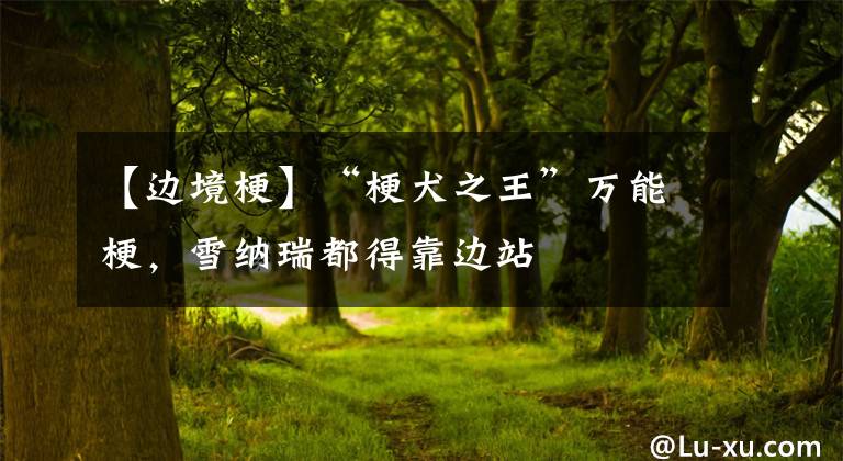 【边境梗】“梗犬之王”万能梗，雪纳瑞都得靠边站