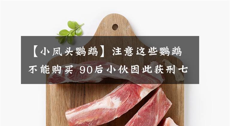【小凤头鹦鹉】注意这些鹦鹉不能购买 90后小伙因此获刑七个月