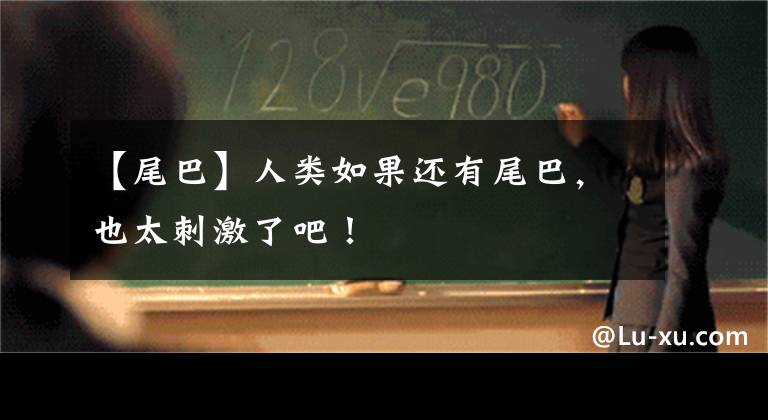 【尾巴】人类如果还有尾巴，也太刺激了吧！