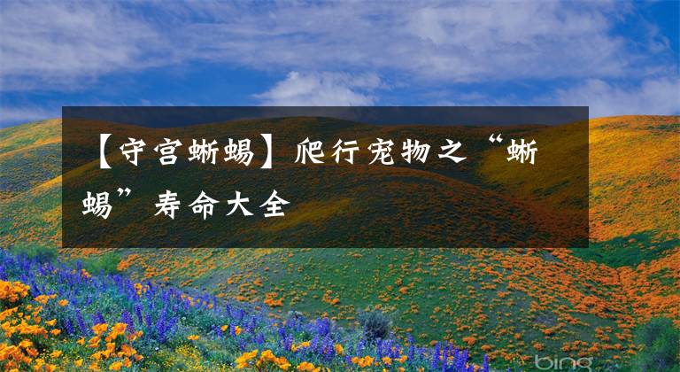 【守宫蜥蜴】爬行宠物之“蜥蜴”寿命大全