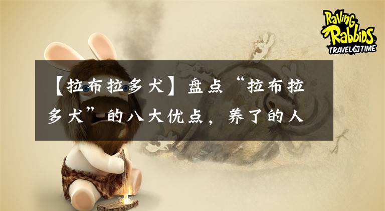 【拉布拉多犬】盘点“拉布拉多犬”的八大优点，养了的人捡到宝了