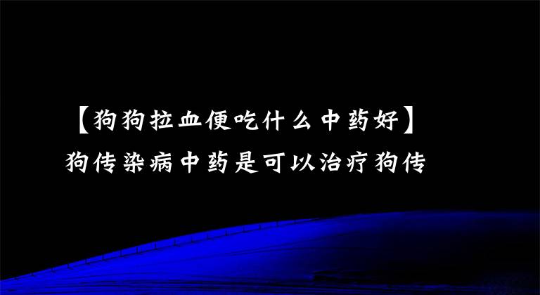 【狗狗拉血便吃什么中药好】狗传染病中药是可以治疗狗传染病的中药配方。
