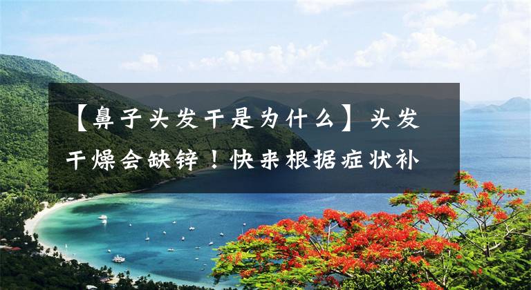 【鼻子头发干是为什么】头发干燥会缺锌！快来根据症状补充营养吧