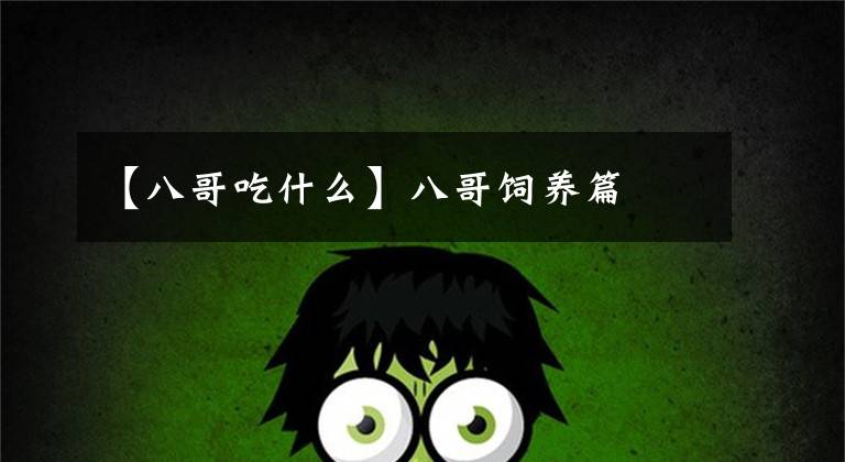 【八哥吃什么】八哥饲养篇