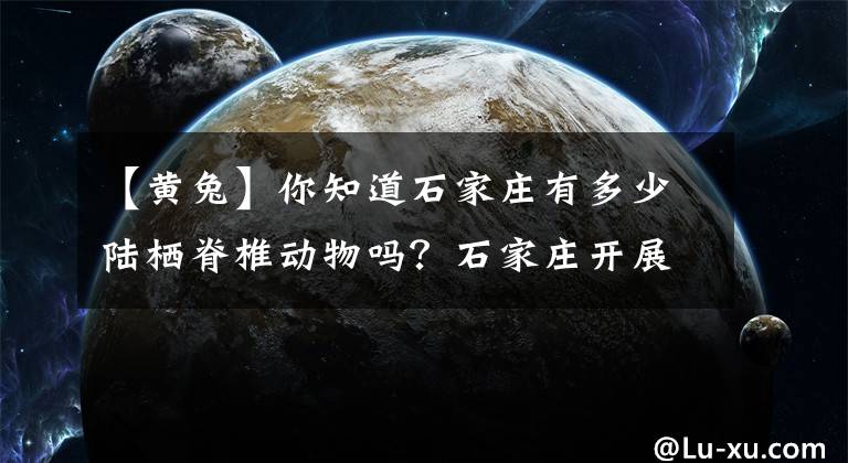 【黄兔】你知道石家庄有多少陆栖脊椎动物吗？石家庄开展世界野生动植物日宣传活动