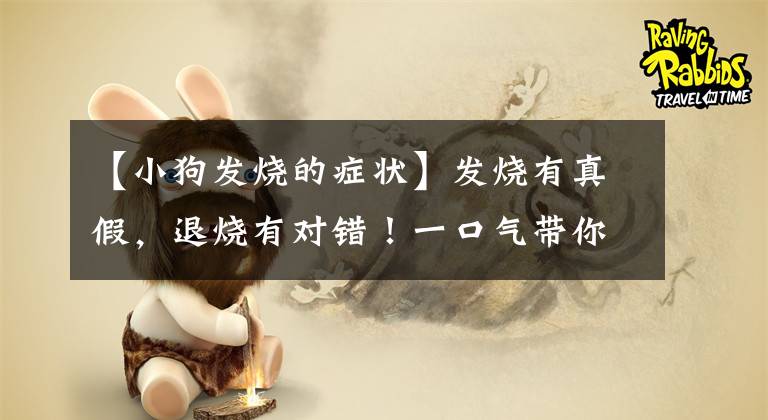 【小狗发烧的症状】发烧有真假，退烧有对错！一口气带你分辨，不踩坑