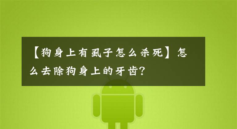 【狗身上有虱子怎么杀死】怎么去除狗身上的牙齿？