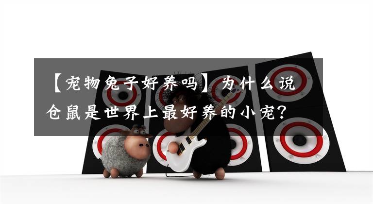 【宠物兔子好养吗】为什么说仓鼠是世界上最好养的小宠？