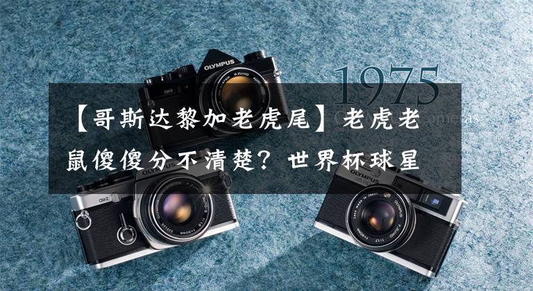 【哥斯达黎加老虎尾】老虎老鼠傻傻分不清楚？世界杯球星这些神“撞脸”让人忍俊不禁