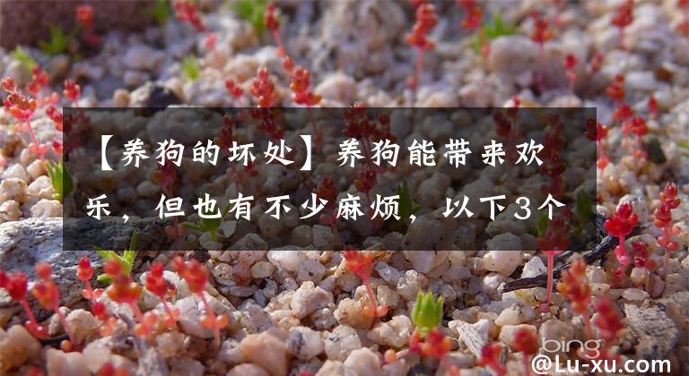 【养狗的坏处】养狗能带来欢乐，但也有不少麻烦，以下3个缺点并非人人都能接受