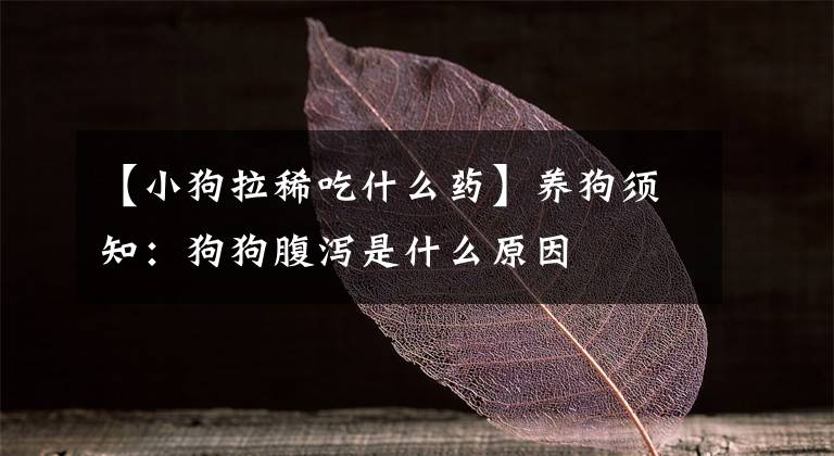 【小狗拉稀吃什么药】养狗须知：狗狗腹泻是什么原因