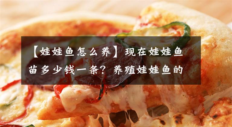 【娃娃鱼怎么养】现在娃娃鱼苗多少钱一条？养殖娃娃鱼的成本贵不贵？前景如何