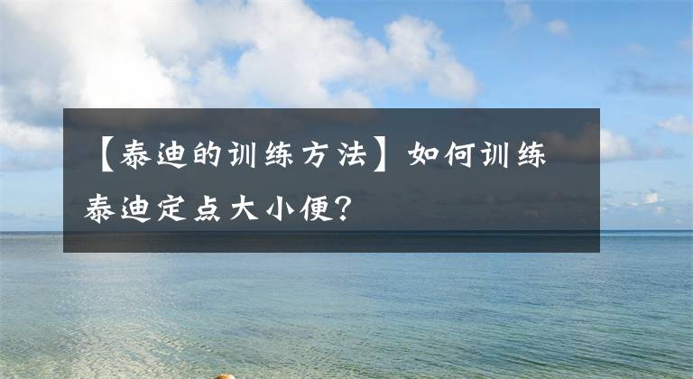 【泰迪的训练方法】如何训练泰迪定点大小便？