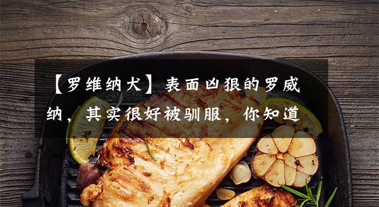 【罗维纳犬】表面凶狠的罗威纳，其实很好被驯服，你知道技巧和方法吗？