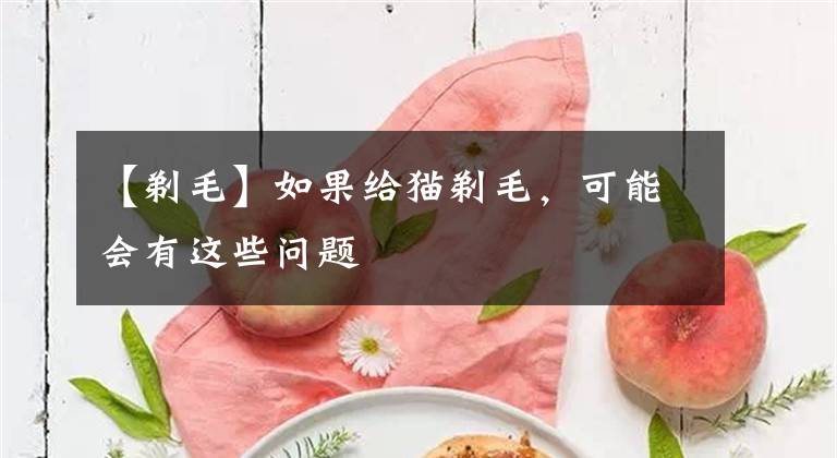 【剃毛】如果给猫剃毛，可能会有这些问题