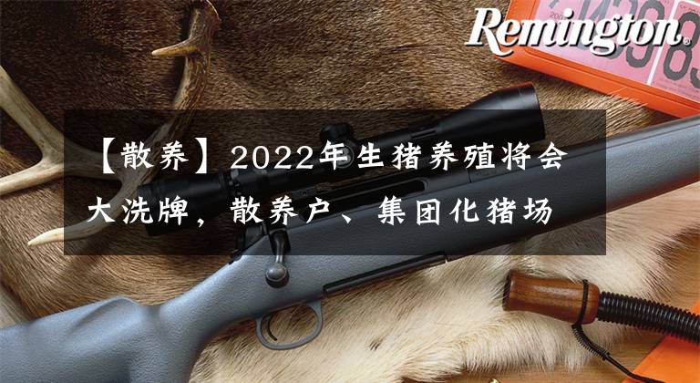 【散养】2022年生猪养殖将会大洗牌，散养户、集团化猪场谁能挺到最后？