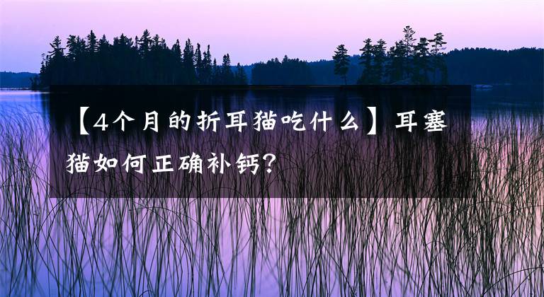 【4个月的折耳猫吃什么】耳塞猫如何正确补钙？