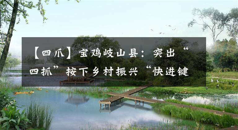 【四爪】宝鸡岐山县：突出“四抓”按下乡村振兴“快进键”