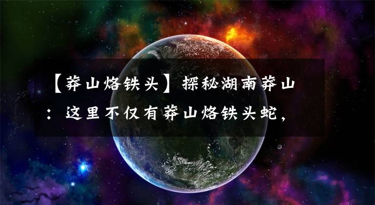 【莽山烙铁头】探秘湖南莽山：这里不仅有莽山烙铁头蛇，还有层层云海，怪石瀑布