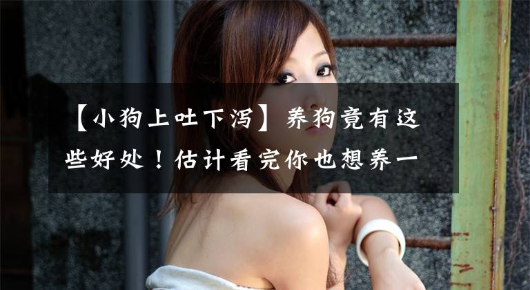 【小狗上吐下泻】养狗竟有这些好处！估计看完你也想养一只