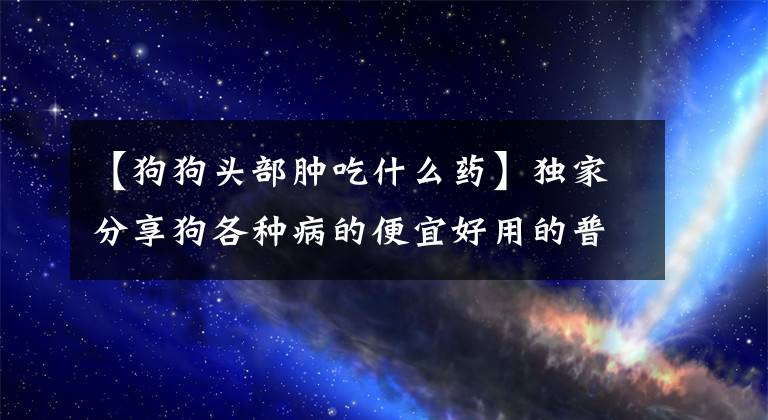 【狗狗头部肿吃什么药】独家分享狗各种病的便宜好用的普通药。
