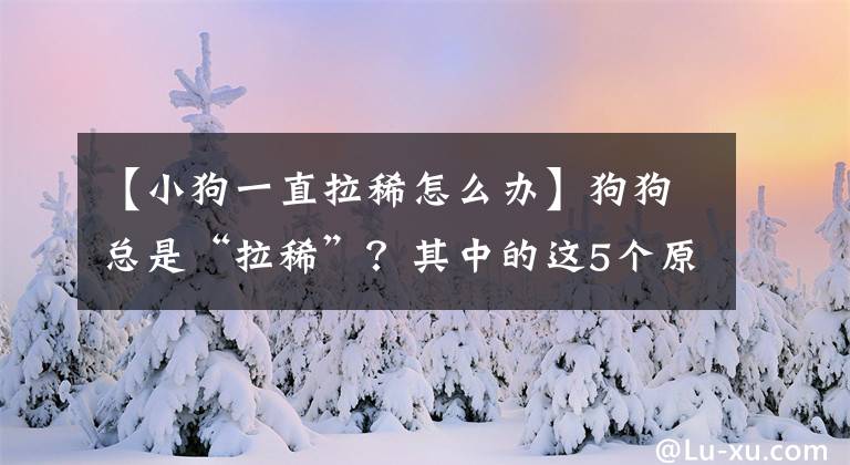 【小狗一直拉稀怎么办】狗狗总是“拉稀”？其中的这5个原因，你真正了解过没？