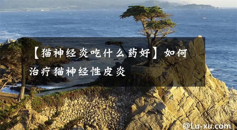 【猫神经炎吃什么药好】如何治疗猫神经性皮炎