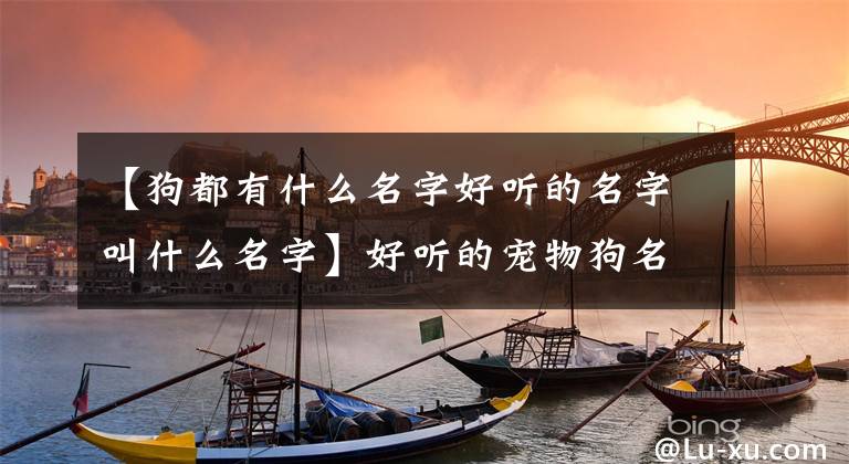 【狗都有什么名字好听的名字叫什么名字】好听的宠物狗名字活泼、调皮、新颖-可爱