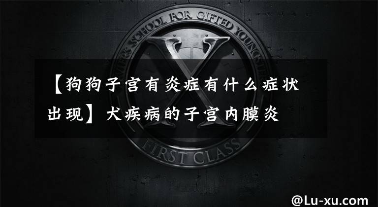 【狗狗子宫有炎症有什么症状出现】犬疾病的子宫内膜炎