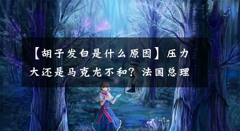 【胡子发白是什么原因】压力大还是马克龙不和？法国总理明确了胡子变白的原因