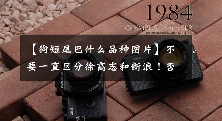 【狗短尾巴什么品种图片】不要一直区分徐高志和新浪！否则会“丢脸”