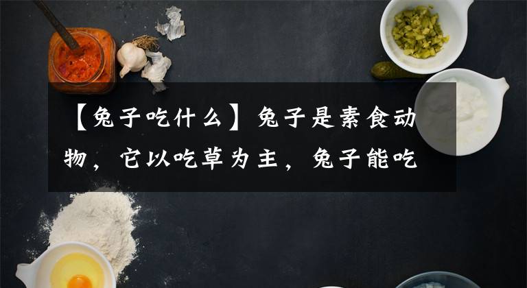 【兔子吃什么】兔子是素食动物，它以吃草为主，兔子能吃菠菜吗