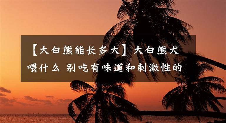 【大白熊能长多大】大白熊犬喂什么 别吃有味道和刺激性的东西