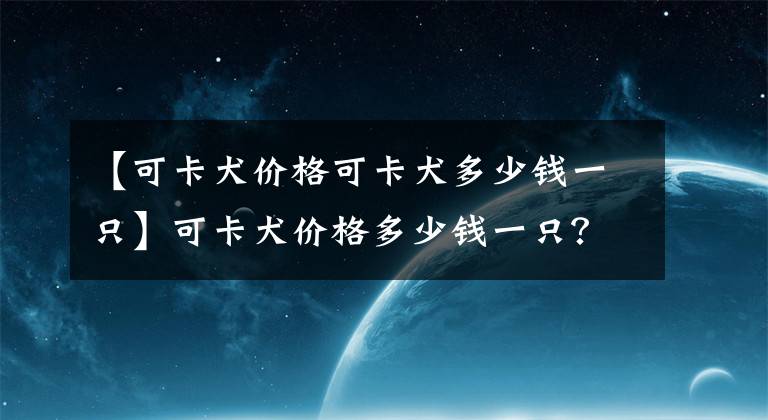 【可卡犬价格可卡犬多少钱一只】可卡犬价格多少钱一只？可卡犬是什么狗好养吗？