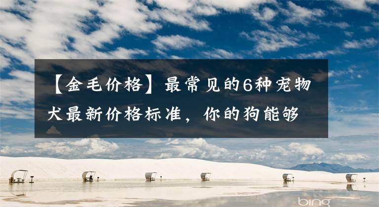 【金毛价格】最常见的6种宠物犬最新价格标准，你的狗能够卖多少钱？