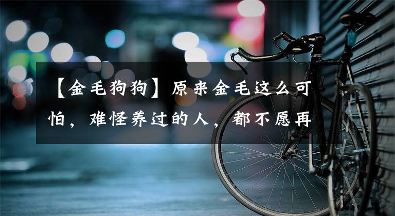 【金毛狗狗】原来金毛这么可怕，难怪养过的人，都不愿再养