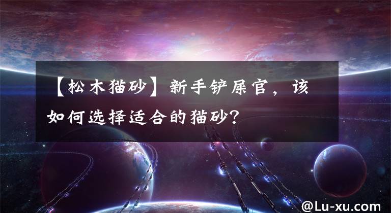 【松木猫砂】新手铲屎官，该如何选择适合的猫砂？