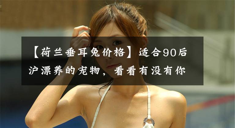 【荷兰垂耳兔价格】适合90后沪漂养的宠物，看看有没有你喜欢的？