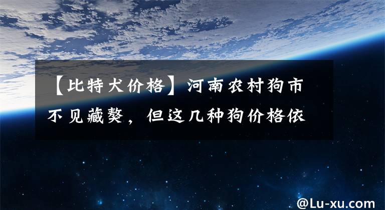 【比特犬价格】河南农村狗市不见藏獒，但这几种狗价格依然过千上万！见过吗？
