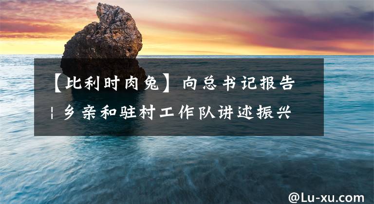 【比利时肉兔】向总书记报告 | 乡亲和驻村工作队讲述振兴故事，疫情阻挡不了脱贫攻坚步伐