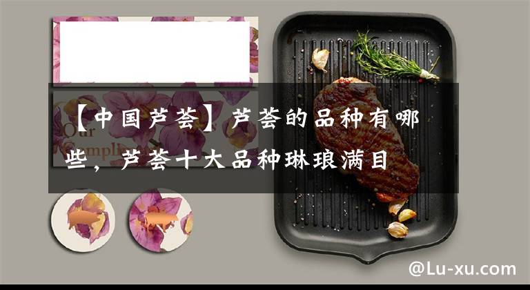 【中国芦荟】芦荟的品种有哪些，芦荟十大品种琳琅满目