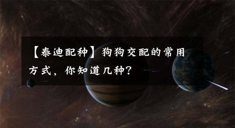 【泰迪配种】狗狗交配的常用方式，你知道几种？