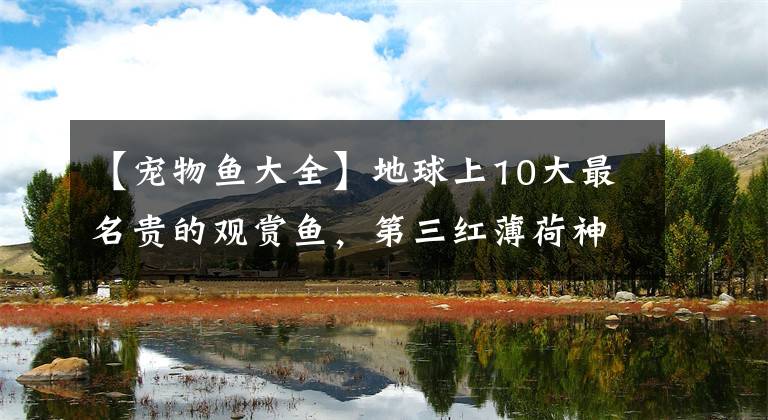 【宠物鱼大全】地球上10大最名贵的观赏鱼，第三红薄荷神仙，第一一条能买一套房