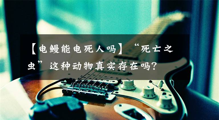 【电鳗能电死人吗】“死亡之虫”这种动物真实存在吗？