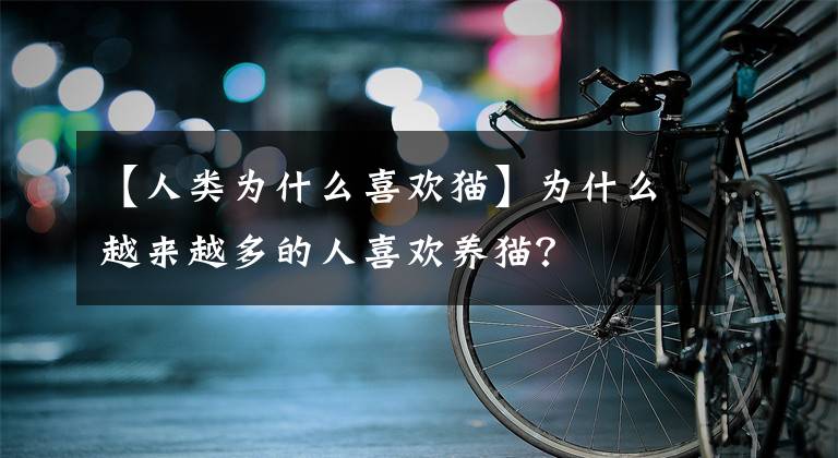 【人类为什么喜欢猫】为什么越来越多的人喜欢养猫？