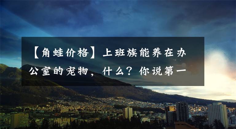 【角蛙价格】上班族能养在办公室的宠物，什么？你说第一个你不敢养？